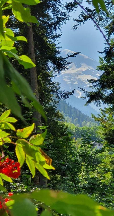 Appartamento Castel De Roches Saint-Gervais-les-Bains Esterno foto